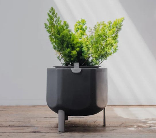 Self-Watering Planter, Charcoal